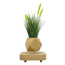 Load image into Gallery viewer, Geodesic Wooden Levitating Air-Floating Bonsai Pot - stilyo