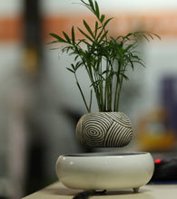 Load image into Gallery viewer, Fantasy Collection Levitating Air-Floating Bonsai Pot - stilyo