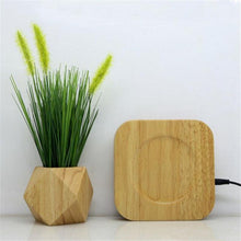 Load image into Gallery viewer, Geodesic Wooden Levitating Air-Floating Bonsai Pot - stilyo