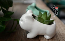 Load image into Gallery viewer, Cute Ceramic Bulbasaur Planter Flowerpot - stilyo