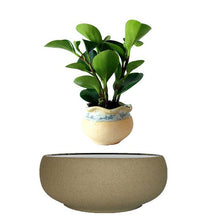 Load image into Gallery viewer, Beach Sand Base Levitating Air-Floating Bonsai Pot - stilyo