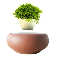 Load image into Gallery viewer, Desert Sand Base Levitating Air-Floating Bonsai Pot - stilyo
