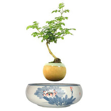 Load image into Gallery viewer, Blue Flowers Ceramic Base Levitating Air-Floating Bonsai Pot - stilyo