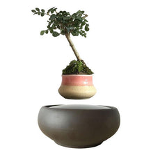 Load image into Gallery viewer, Blackout Base Levitating Air-Floating Bonsai Pot - stilyo