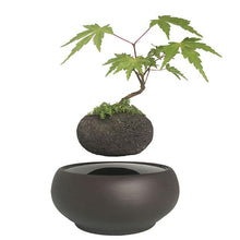 Load image into Gallery viewer, Blackout Base Levitating Air-Floating Bonsai Pot - stilyo