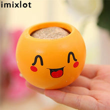 Load image into Gallery viewer, Creative DIY Emoji Grass Head - stilyo