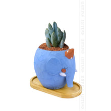 Load image into Gallery viewer, Bamboo Wooden Shaped Pot/Plant Trays - stilyo