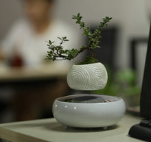 Load image into Gallery viewer, Fantasy Collection Levitating Air-Floating Bonsai Pot - stilyo
