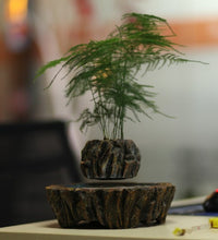 Load image into Gallery viewer, Fantasy Collection Levitating Air-Floating Bonsai Pot - stilyo
