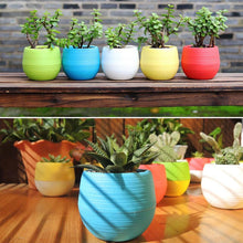 Load image into Gallery viewer, Colorful Cute Plant Flower Pot - stilyo
