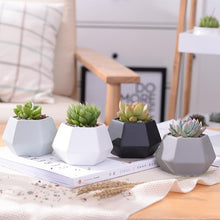 Load image into Gallery viewer, Hexagon Ceramic Planters Set - 4 Pieces - stilyo
