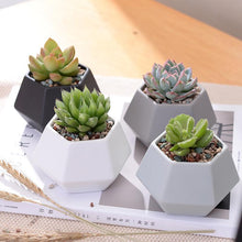 Load image into Gallery viewer, Hexagon Ceramic Planters Set - 4 Pieces - stilyo
