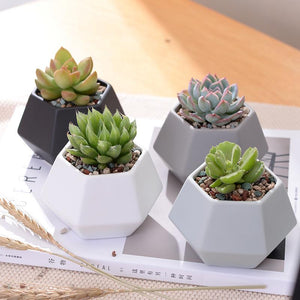 Hexagon Ceramic Planters Set - 4 Pieces - stilyo