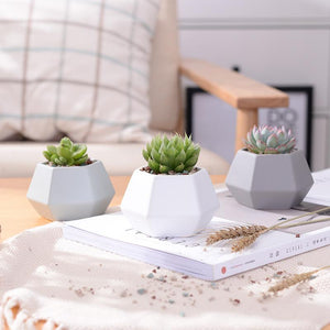 Hexagon Ceramic Planters Set - 4 Pieces - stilyo