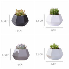 Load image into Gallery viewer, Hexagon Ceramic Planters Set - 4 Pieces - stilyo
