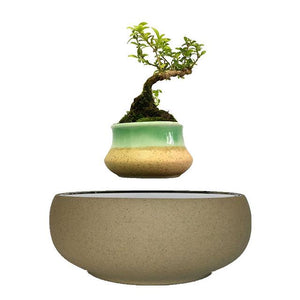 Beach Sand Base Levitating Air-Floating Bonsai Pot - stilyo