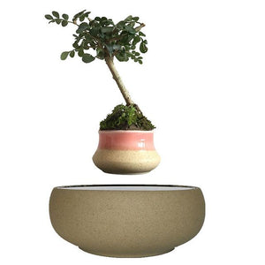 Beach Sand Base Levitating Air-Floating Bonsai Pot - stilyo