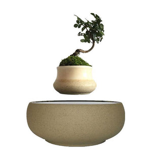 Beach Sand Base Levitating Air-Floating Bonsai Pot - stilyo