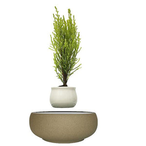 Beach Sand Base Levitating Air-Floating Bonsai Pot - stilyo