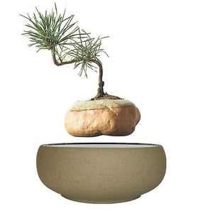 Beach Sand Base Levitating Air-Floating Bonsai Pot - stilyo