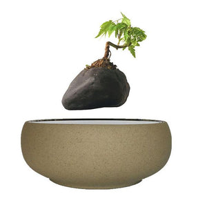 Beach Sand Base Levitating Air-Floating Bonsai Pot - stilyo