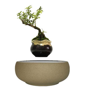 Beach Sand Base Levitating Air-Floating Bonsai Pot - stilyo