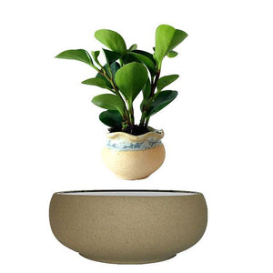 Beach Sand Base Levitating Air-Floating Bonsai Pot - stilyo