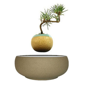 Beach Sand Base Levitating Air-Floating Bonsai Pot - stilyo