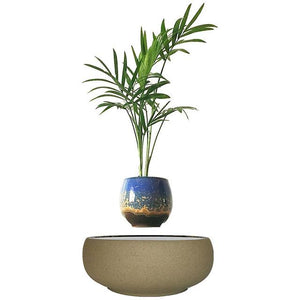 Beach Sand Base Levitating Air-Floating Bonsai Pot - stilyo