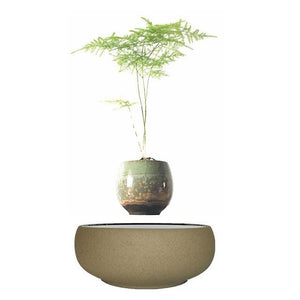 Beach Sand Base Levitating Air-Floating Bonsai Pot - stilyo