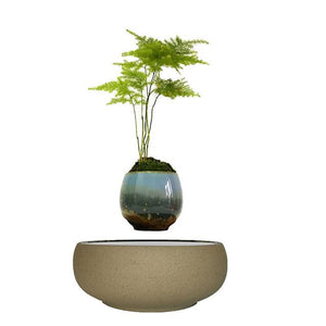 Beach Sand Base Levitating Air-Floating Bonsai Pot - stilyo