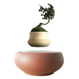 Desert Sand Base Levitating Air-Floating Bonsai Pot - stilyo