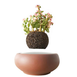 Desert Sand Base Levitating Air-Floating Bonsai Pot - stilyo