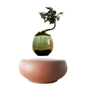 Desert Sand Base Levitating Air-Floating Bonsai Pot - stilyo