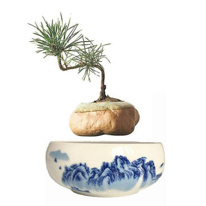 Blue Ocean Base Levitating Air-Floating Bonsai Pot - stilyo