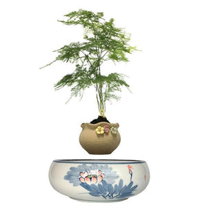 Blue Flowers Ceramic Base Levitating Air-Floating Bonsai Pot - stilyo