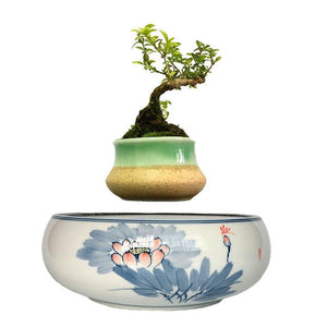 Blue Flowers Ceramic Base Levitating Air-Floating Bonsai Pot - stilyo