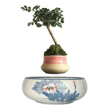 Load image into Gallery viewer, Blue Flowers Ceramic Base Levitating Air-Floating Bonsai Pot - stilyo
