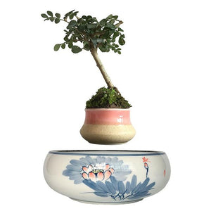 Blue Flowers Ceramic Base Levitating Air-Floating Bonsai Pot - stilyo