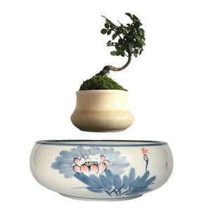 Blue Flowers Ceramic Base Levitating Air-Floating Bonsai Pot - stilyo