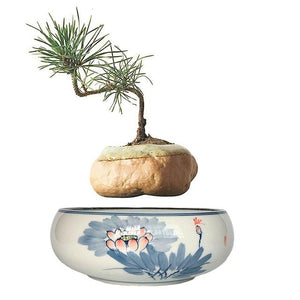 Blue Flowers Ceramic Base Levitating Air-Floating Bonsai Pot - stilyo