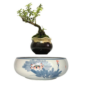 Blue Flowers Ceramic Base Levitating Air-Floating Bonsai Pot - stilyo