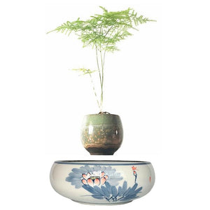 Blue Flowers Ceramic Base Levitating Air-Floating Bonsai Pot - stilyo