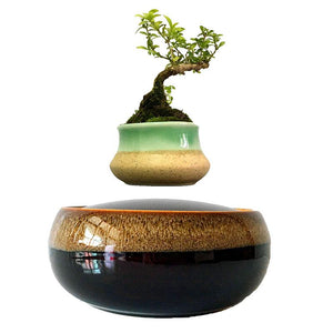 Black Eye Base Levitating Air-Floating Bonsai Pot - stilyo