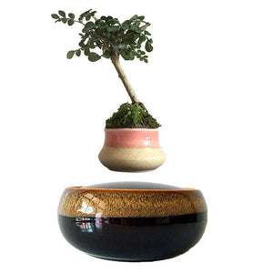 Black Eye Base Levitating Air-Floating Bonsai Pot - stilyo