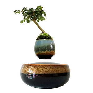 Black Eye Base Levitating Air-Floating Bonsai Pot - stilyo