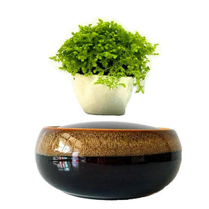 Black Eye Base Levitating Air-Floating Bonsai Pot - stilyo