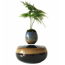 Load image into Gallery viewer, Black Eye Base Levitating Air-Floating Bonsai Pot - stilyo
