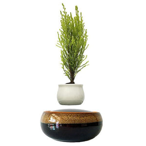 Black Eye Base Levitating Air-Floating Bonsai Pot - stilyo