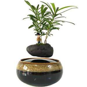 Black Eye Base Levitating Air-Floating Bonsai Pot - stilyo